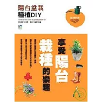 陽台盆栽種植DIY