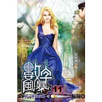 數字風暴11