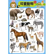 忍者兔學習掛圖：可愛動物