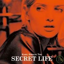 Karel Boehlee Trio / Secret Life