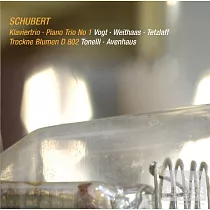 2005&2006 Heimbach Chamber Music Festival/Schubert piano trio No.1 / Tetzlaff. Lars Vogt