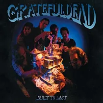 死之華合唱團 / Built To Last (LP)