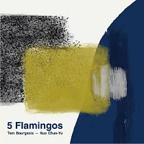 Tom Bourgeois & Kuo Chun─Yu / 5 Flamingos