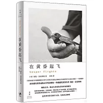 在黃昏起飛