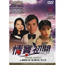 情竇初開 DVD