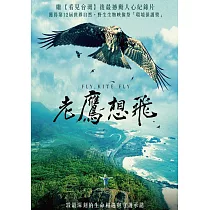 老鷹想飛 DVD