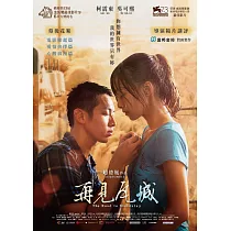 再見瓦城 DVD