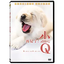 再見了!小Q DVD