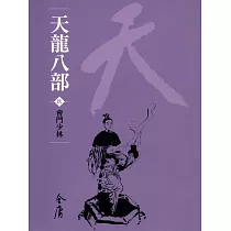 天龍八部9：會鬥少林 (遠流版金庸作品集49) (電子書)