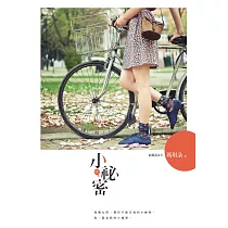 小祕密 (電子書)