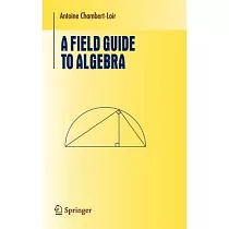 A Field Guide To Algebra