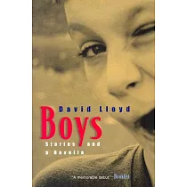 Boys： Stories And a Novella