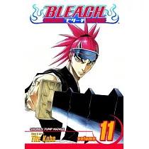 Bleach 11