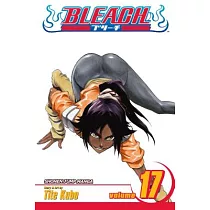 Bleach 17
