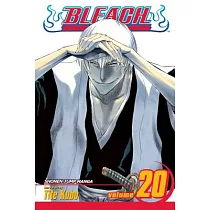Bleach， Vol. 20