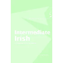 Intermediate Irish： A Grammar and Workbook