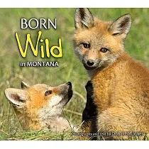 Born Wild in Montana