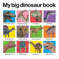 My Big Dinosaur Book
