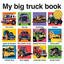My Big Truck Book