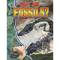 What Are Fossils?