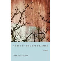 A Book of Exquisite Disasters