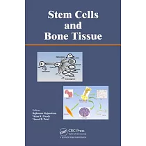 Stem Cells and Bone Tissue