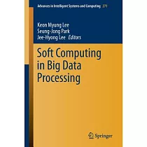 Soft Computing in Big Data Processing