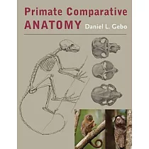 Primate Comparative Anatomy