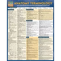 Anatomy Terminology