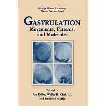 Gastrulation： Movements， Patterns， and Molecules