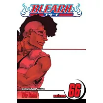 Bleach 66