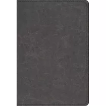 ESV Student Study Bible： English Standard Bible， Gray， Trutone