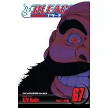 Bleach 67