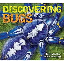 Discovering Bugs