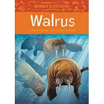 Animals Illustrated： Walrus