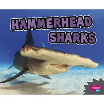Hammerhead Sharks