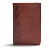 CSB Everyday Study Bible， British Tan Leathertouch