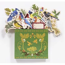 Birds in a Book： Jacket Comes Off. Branches Pop Up. Display Like a Bouquet!