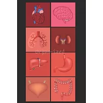 Organ─ized： Punny Journal Notebook 6" x 9" 120 lined pages for Medical Professionals