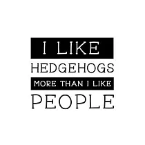 I Like Hedgehogs More Than I Like People： Hedgehog Gift for People Who Love Hedgehogs ─ Funny Saying on Cover for Hedgehog Lovers ─ Blank Lined Journa
