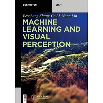 Machine Learning and Visual Perception