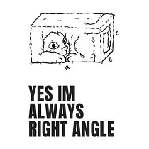 Yes Im Always Right Angle