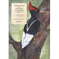Adventures of an Amateur Naturalist in Mexico： The Imperial Ivory─billed Woodpecker， Revisited