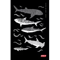 Diving Log Book： Sharks