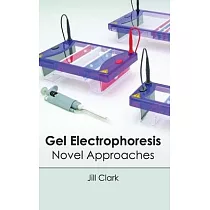 Gel Electrophoresis： Novel Approaches