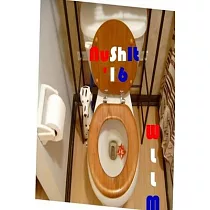 NuShIt ’’16