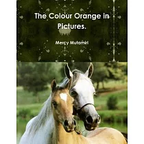 The Colour Orange in Pictures.