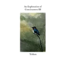 An Exploration of Consciousness III