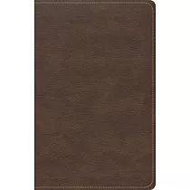 CSB Single─Column Compact Bible， Brown Leathertouch