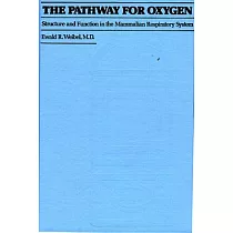 The Pathway for Oxygen